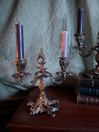 Image 5 of Magnifique paire de chandeliers en bronze plaqué argent, style rocaille, fin XIXème siècle