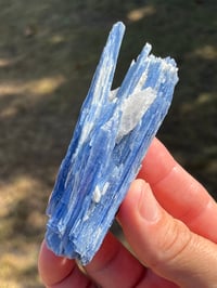 Image 1 of Blue Kyanite & Quartz Specimen #2421