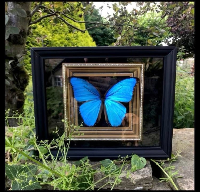 Image of Lisa Inwood Blue Commission