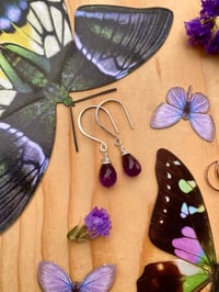 Image 5 of Simple Amethyst Earrings