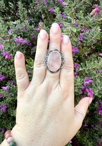 Image 3 of The Camellia (9)