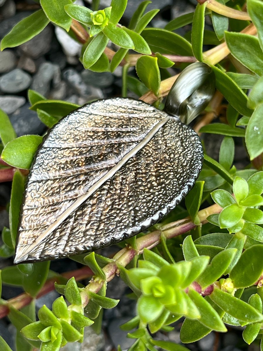 Image of Wet Metal Leaf Pendant