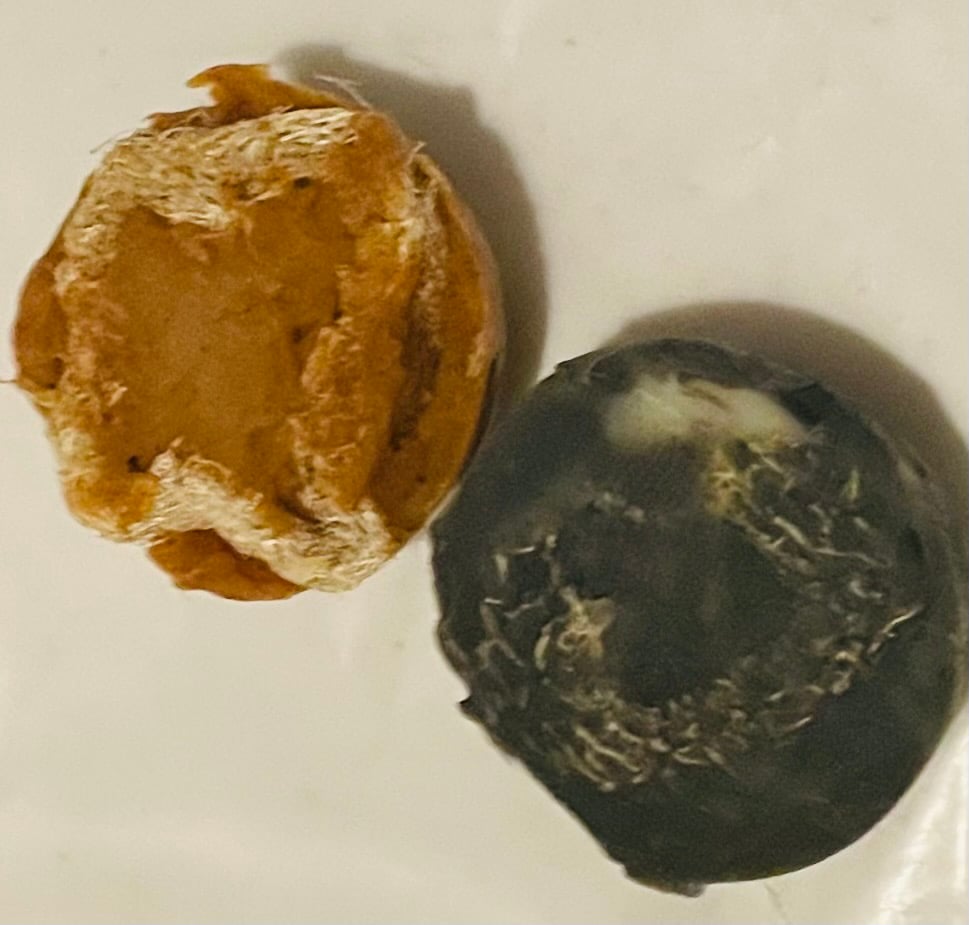 Image of Charcoal Goats Milk Mini Loofah Scrub