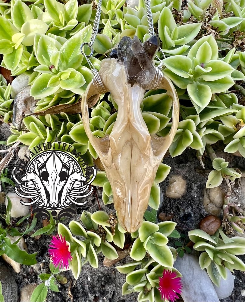 Image of Opossum Skull Necklace with Smoky Quartz adornments