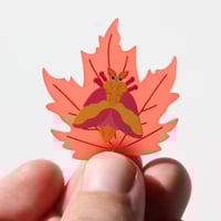 Image 4 of Rosy Maple Moth Frosted Acrylic Pin