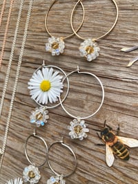 Image 2 of Moonstone Daisy Hoops