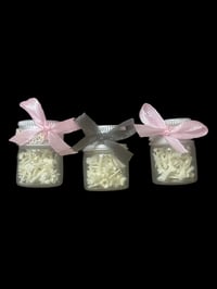 cane toad vertebrae jar