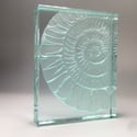 Ammonite glass block