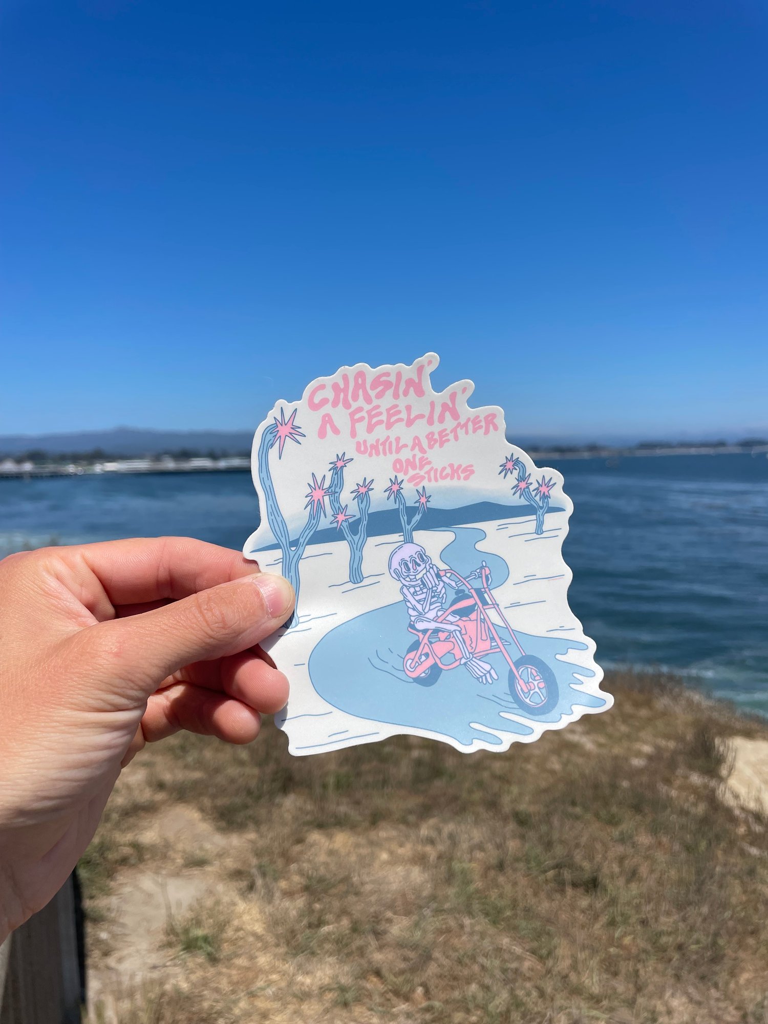 Image of Chasin' Sticker