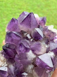 Image 4 of Amethyst Points Cluster | Congo #2868