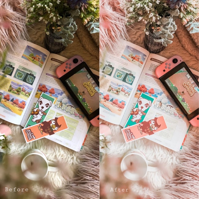 Peony Fields (5 Lightroom Mobile Presets)