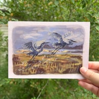 flying herons print