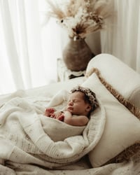 Image 10 of Briar