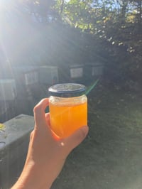 Image 19 of Hope is a Red Thread