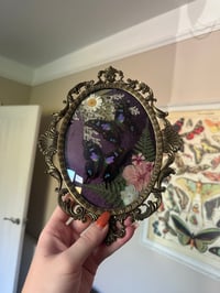 Image 2 of Purple Spotted Swallowtail Antique Frame