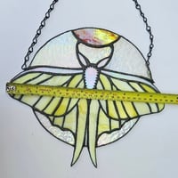 Image 5 of Day moth