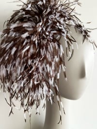 Image 3 of Brown and white ostrich