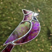 Image 4 of Small Bird