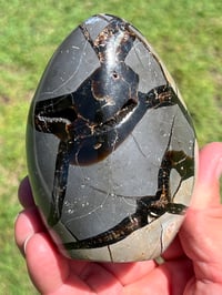 Image 8 of Septarian Nodule Polished Freeform | Madagascar #2900