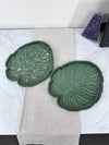 Monstera Leaf Trays