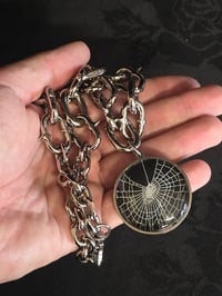Image 2 of Spiked - Arachne Chain - preserved web 2.