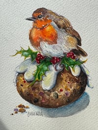 Image 1 of 6  Robin Xmas Cards 