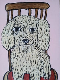 Image 6 of Crusty Dog