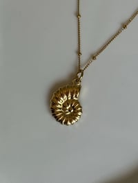 Image 3 of Gold Spiral Shell Necklace