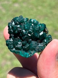 Image 3 of Dioptase Specimen #2539