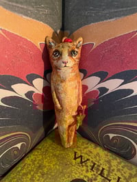 Image 1 of Freckles the cat