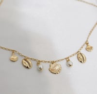 Image 3 of Seashell Charm Necklace 