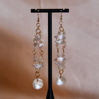 Image 1 of Shells & Gold 