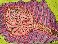 Image 1 of "Microscopic Viscera" (4"×6")