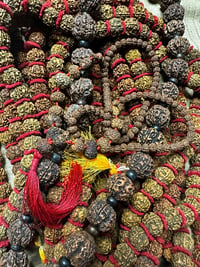 Image 1 of Rudraksha Beads