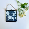 Japanese Maple - Mini Framed Cyanotype