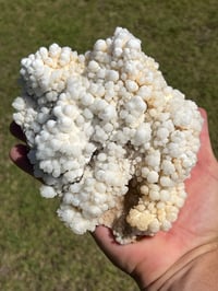 Image 1 of Calcite Crystal Cluster Reef Formation #994