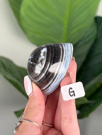 Image 9 of BLUE OPAL EYE FREEFORMS