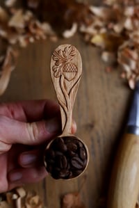 Image 8 of Oak and Acorn  Coffee Scoop 