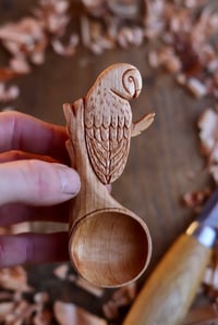 Image 4 of Owl Coffee Scoop 