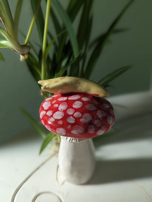 Image of Banana Slug Mushroom