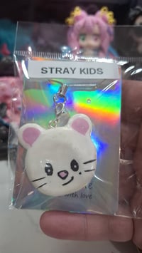 Stray kids mouse worrystone