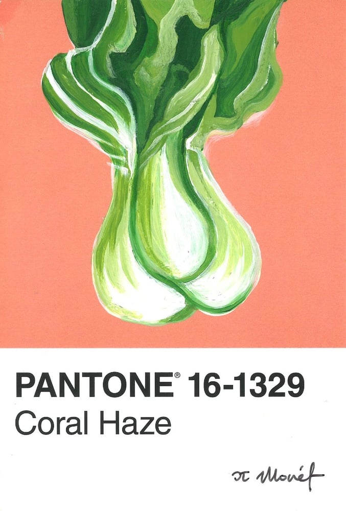 Image of Bok Choy Pantone