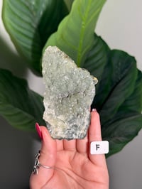 Image 6 of CHOOSE YOUR OWN BOWTIE PREHNITE -INDIA-