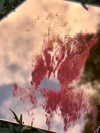 Image 2 of Pussy Portal Mirror (Each Mirror Unique!) 