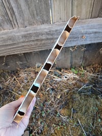 Image 10 of Puffin