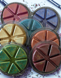 SALE Wax Melt clamshells