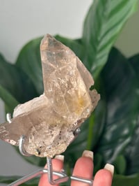 Image 3 of  SMOKEY RUTILE IN QUARTZ CLUSTER ON STAND G