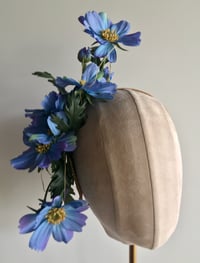 Image 1 of Blue cosmos