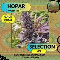 Image 2 of Sovereign Farmers - Hopar Valley 23’ Selection #3