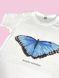 Image 2 of Body MORFO